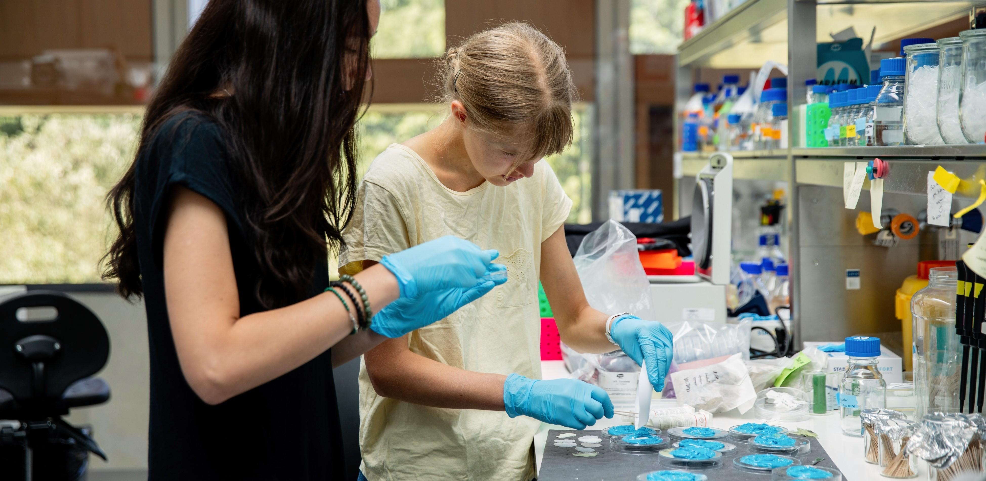 Students work in lab